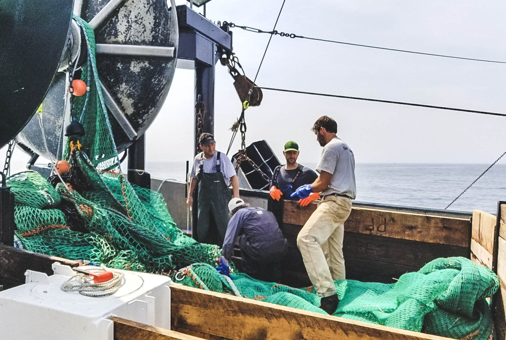 Atlantic Sea Scallops - PrimeFish Seafood Co. - Large Boxes