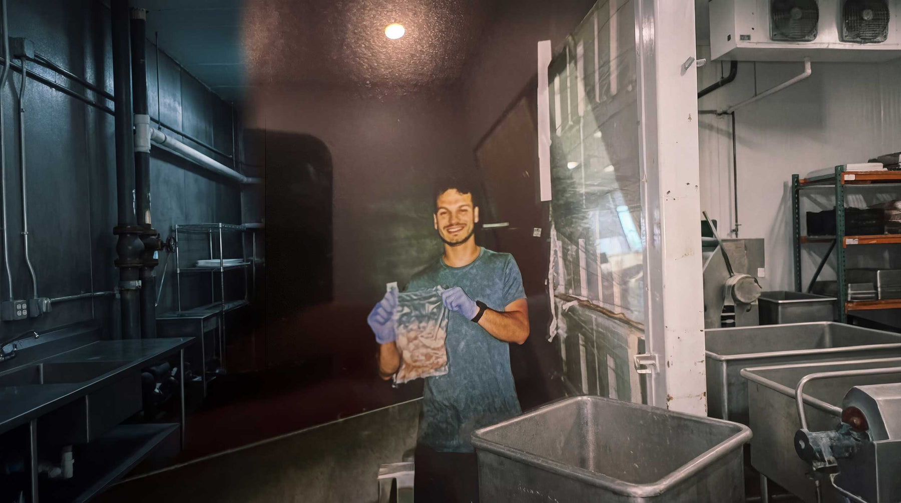 My Origin Story, and How PrimeFish Was Born