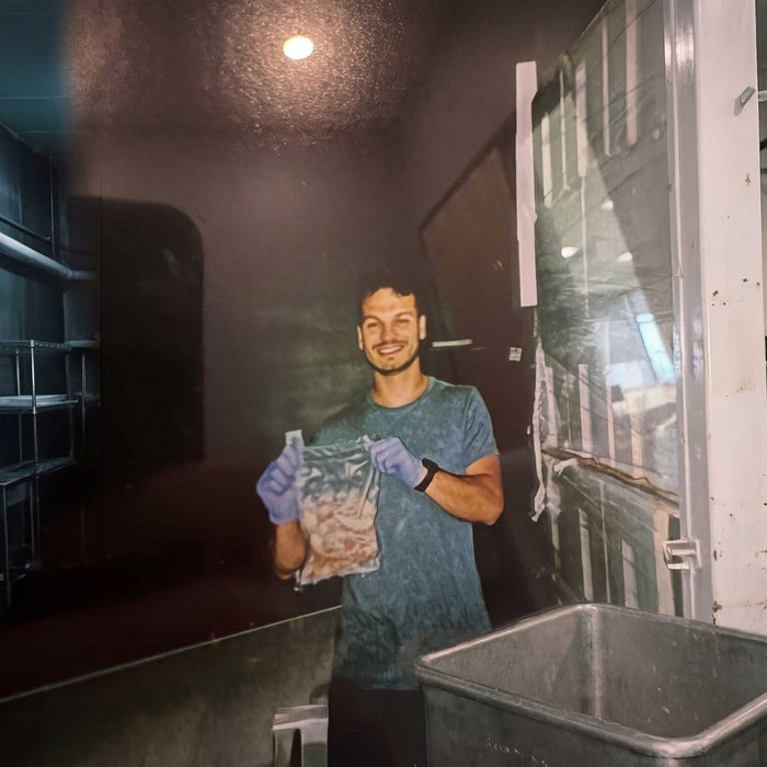 HOW PRIMEFISH WAS BORN