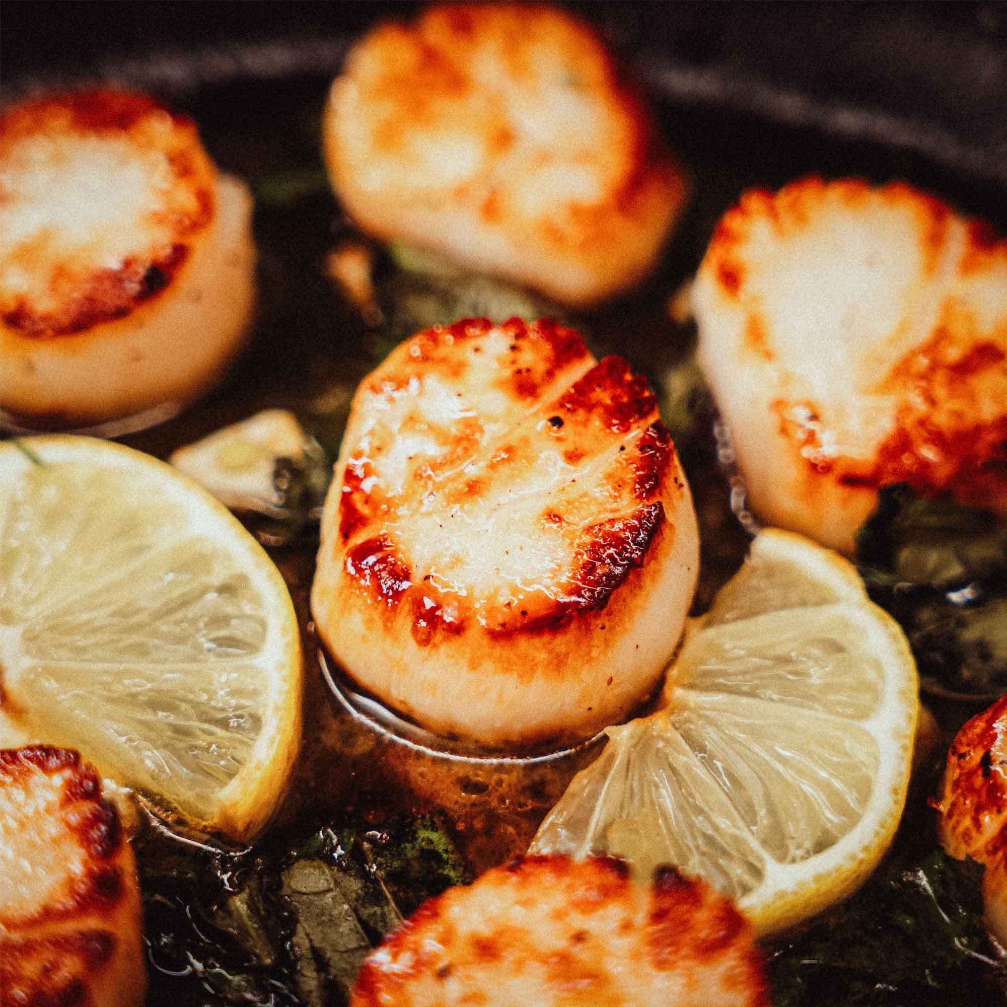 Karen Elizabeth Scallops (16oz)