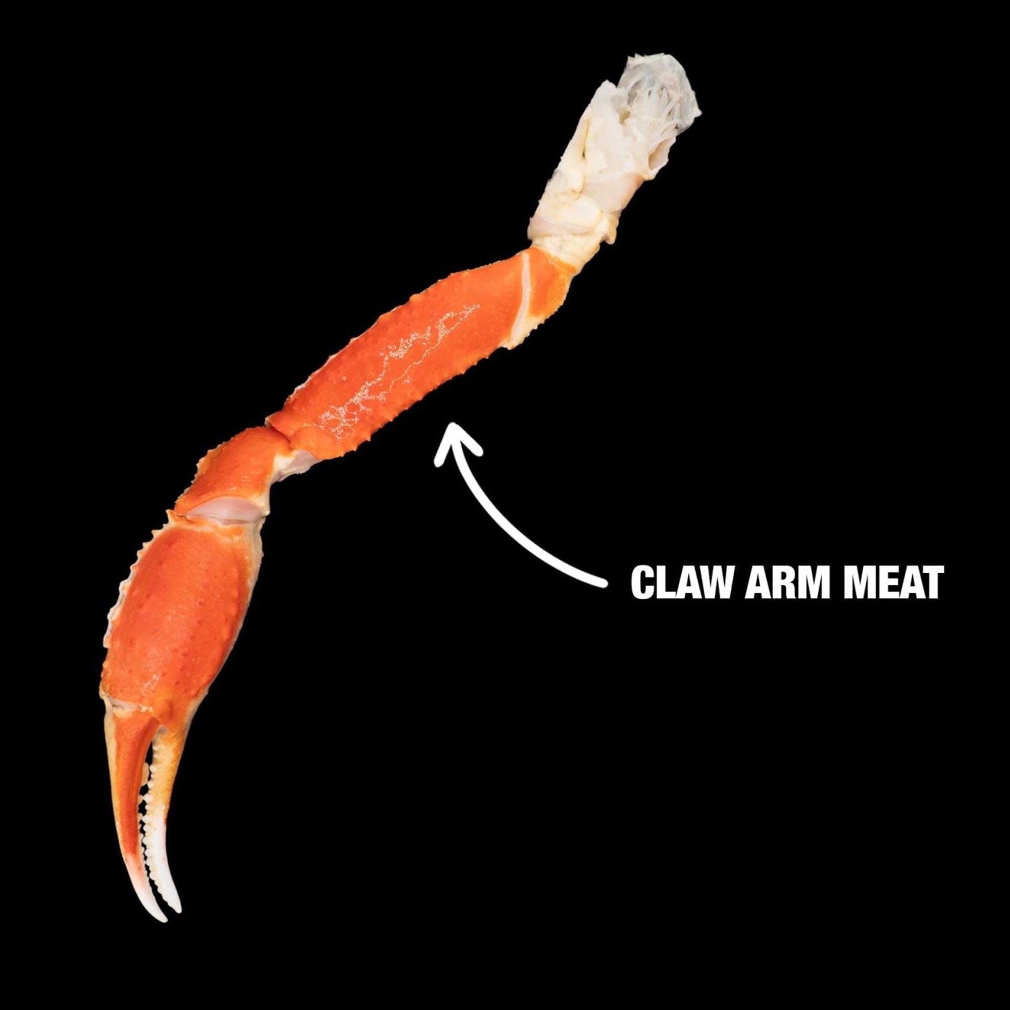 Snow Crab Arm Meat