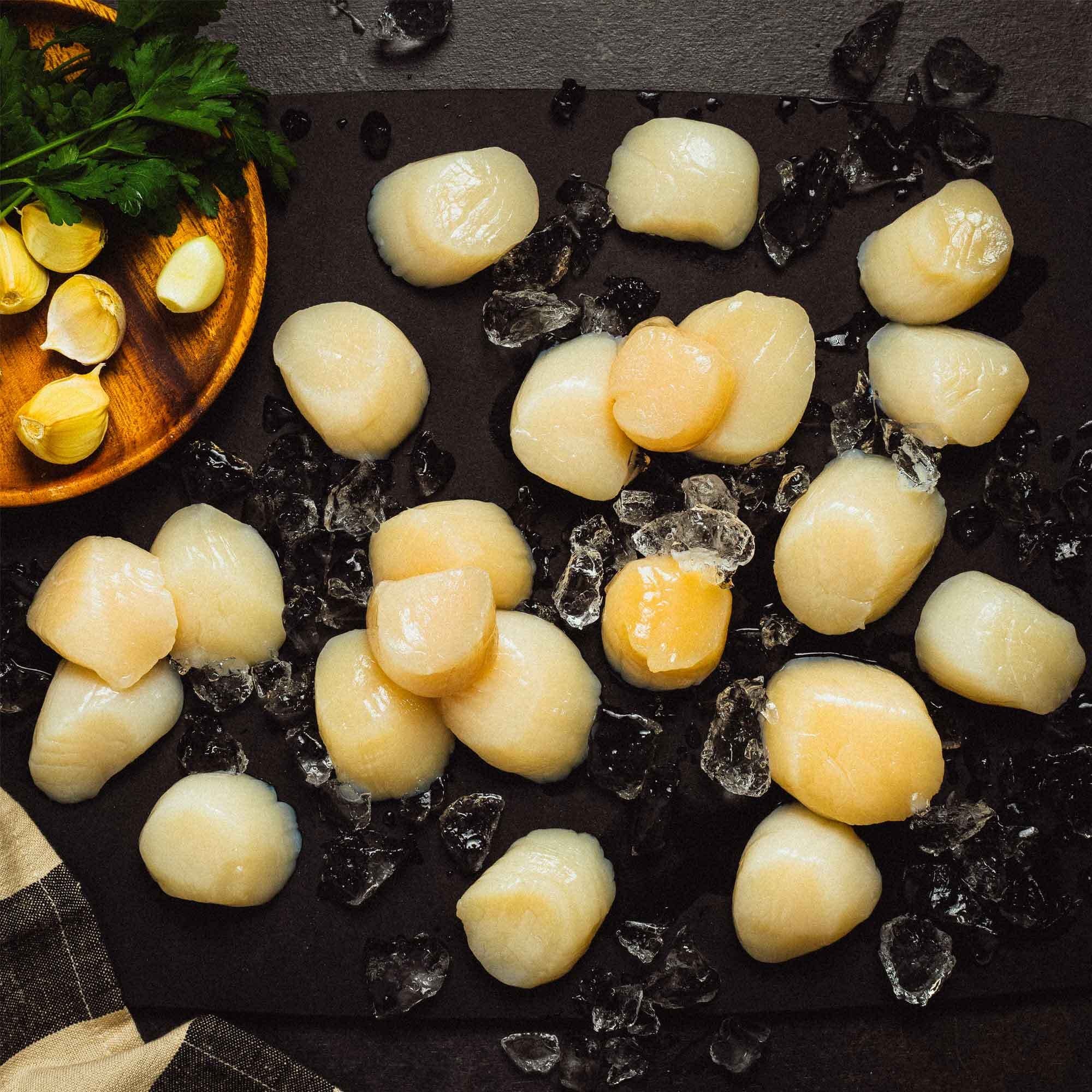 Karen Elizabeth Scallops