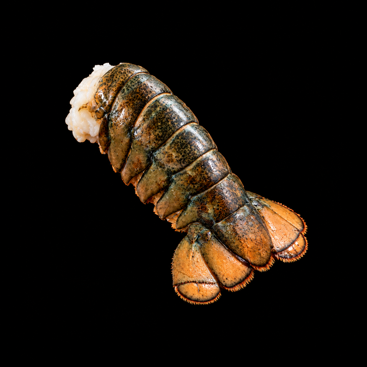 JUMBO LOBSTER TAILS (16–20 oz)