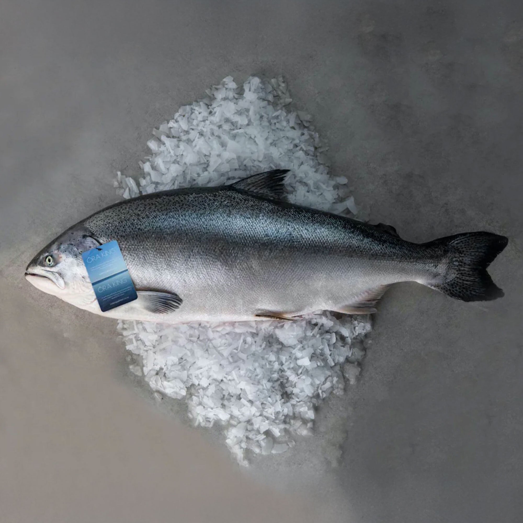 Ōra King Salmon
