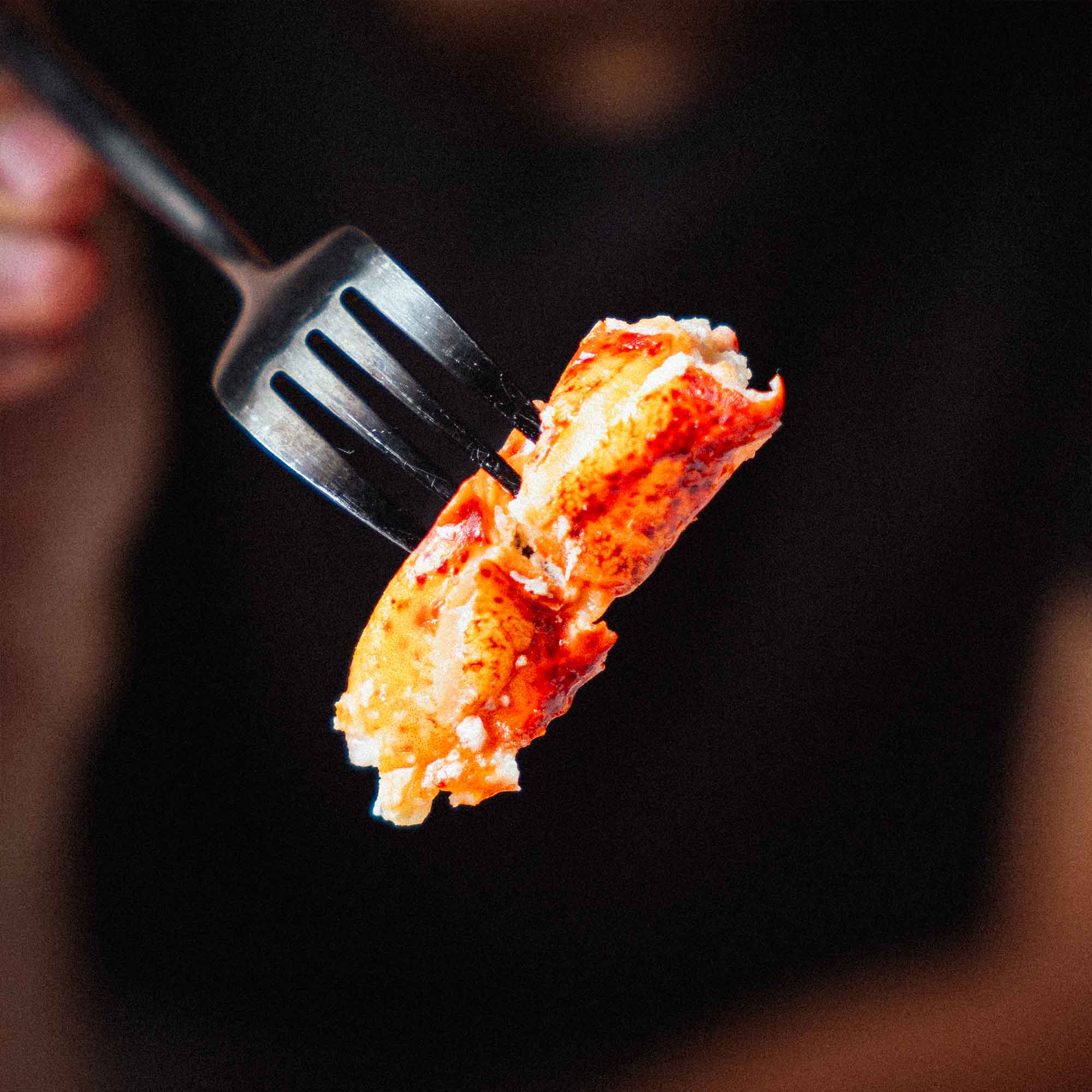 Lobster Knuckle Meat