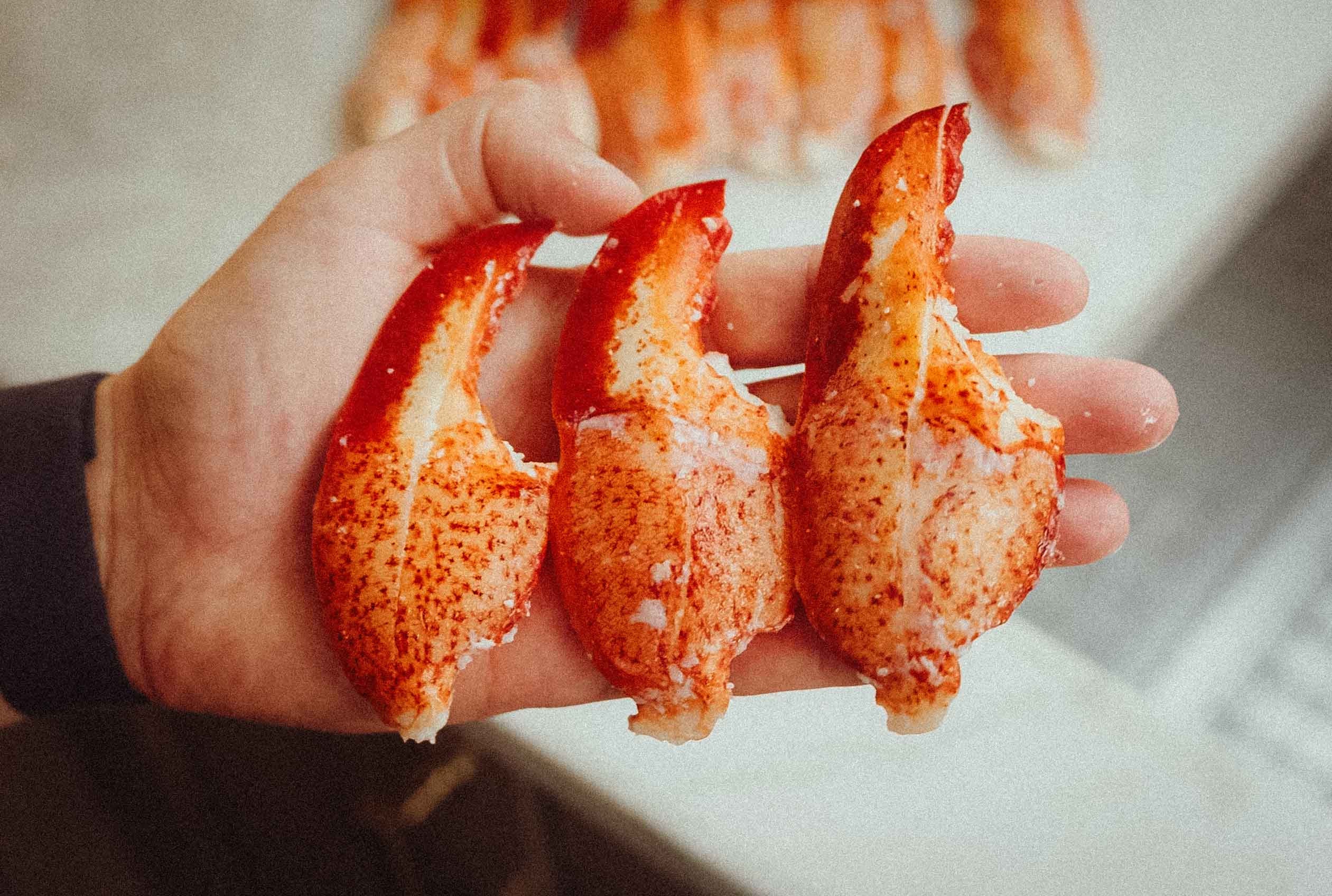 Lobster Claw Meat