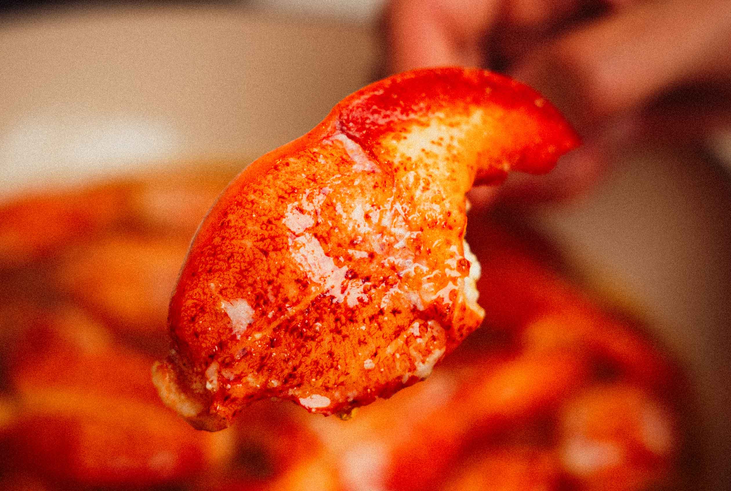 Lobster Claw Meat