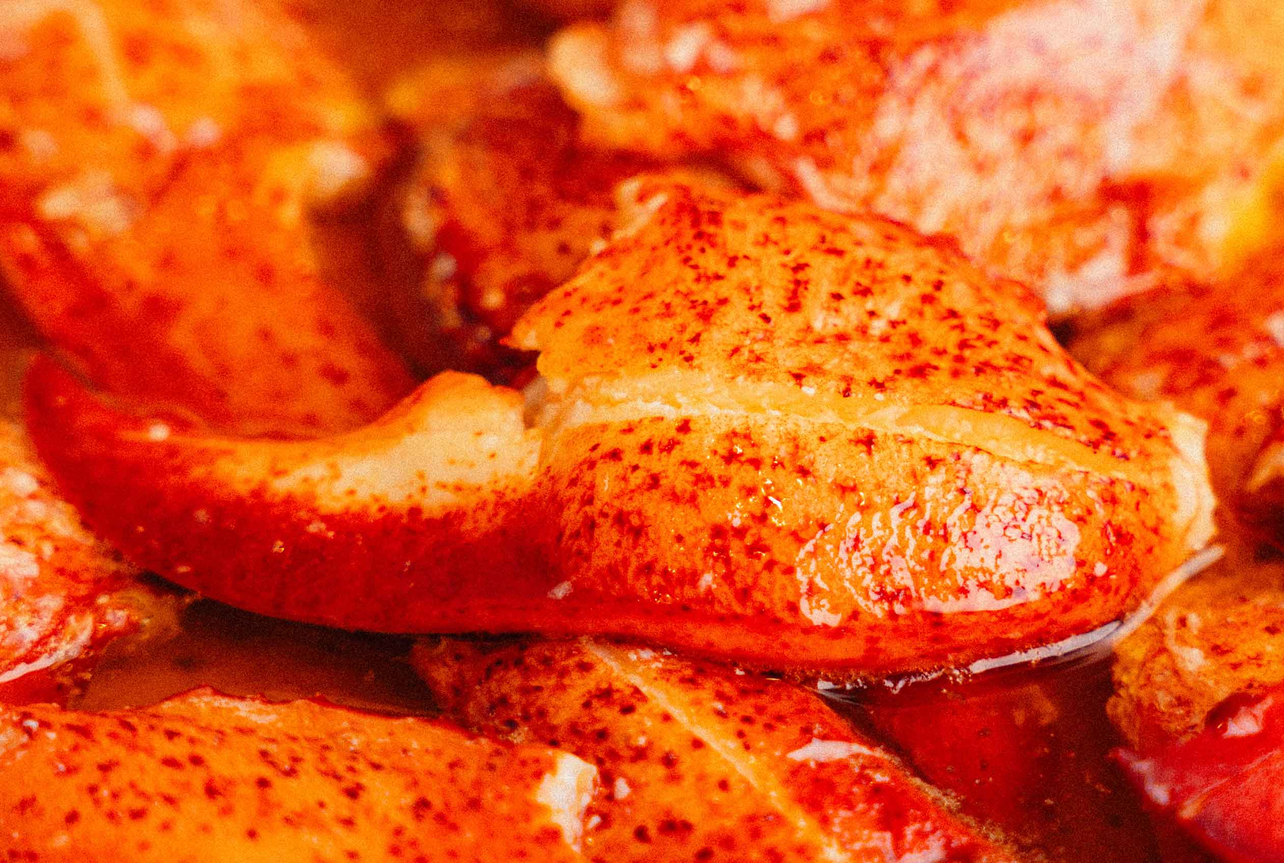 Lobster Claw Meat