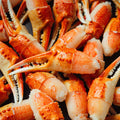 Snow Crab Claws