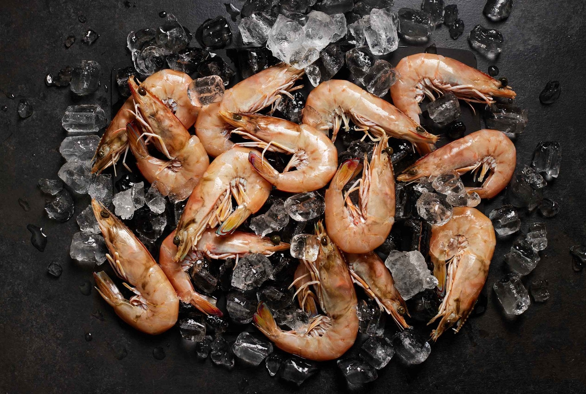 Australian King Prawns (8 Prawns, 16oz) - PrimeFish Seafood Co. - Small Pack