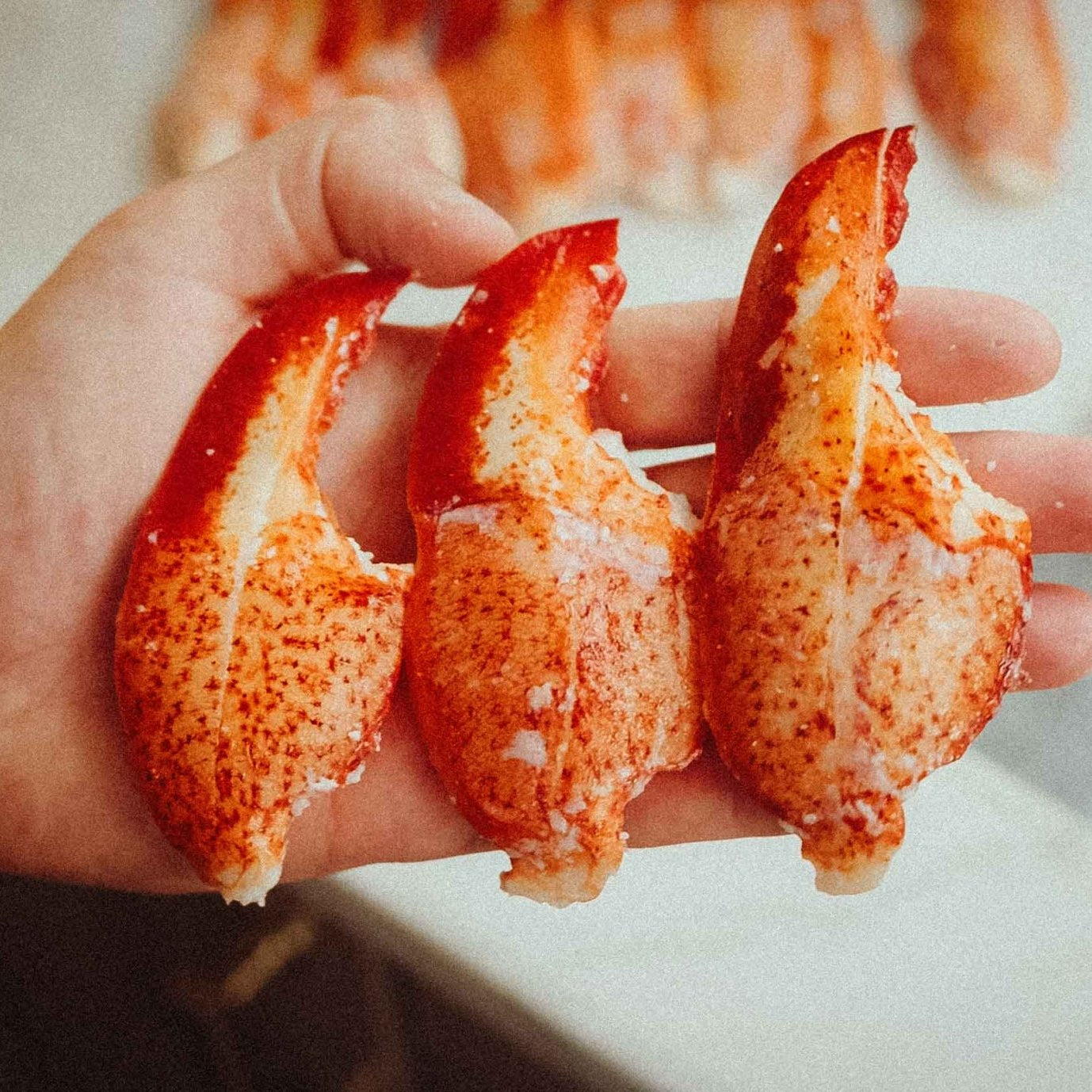 Lobster Claw Meat - PrimeFish Seafood Co. - LUXPACK™