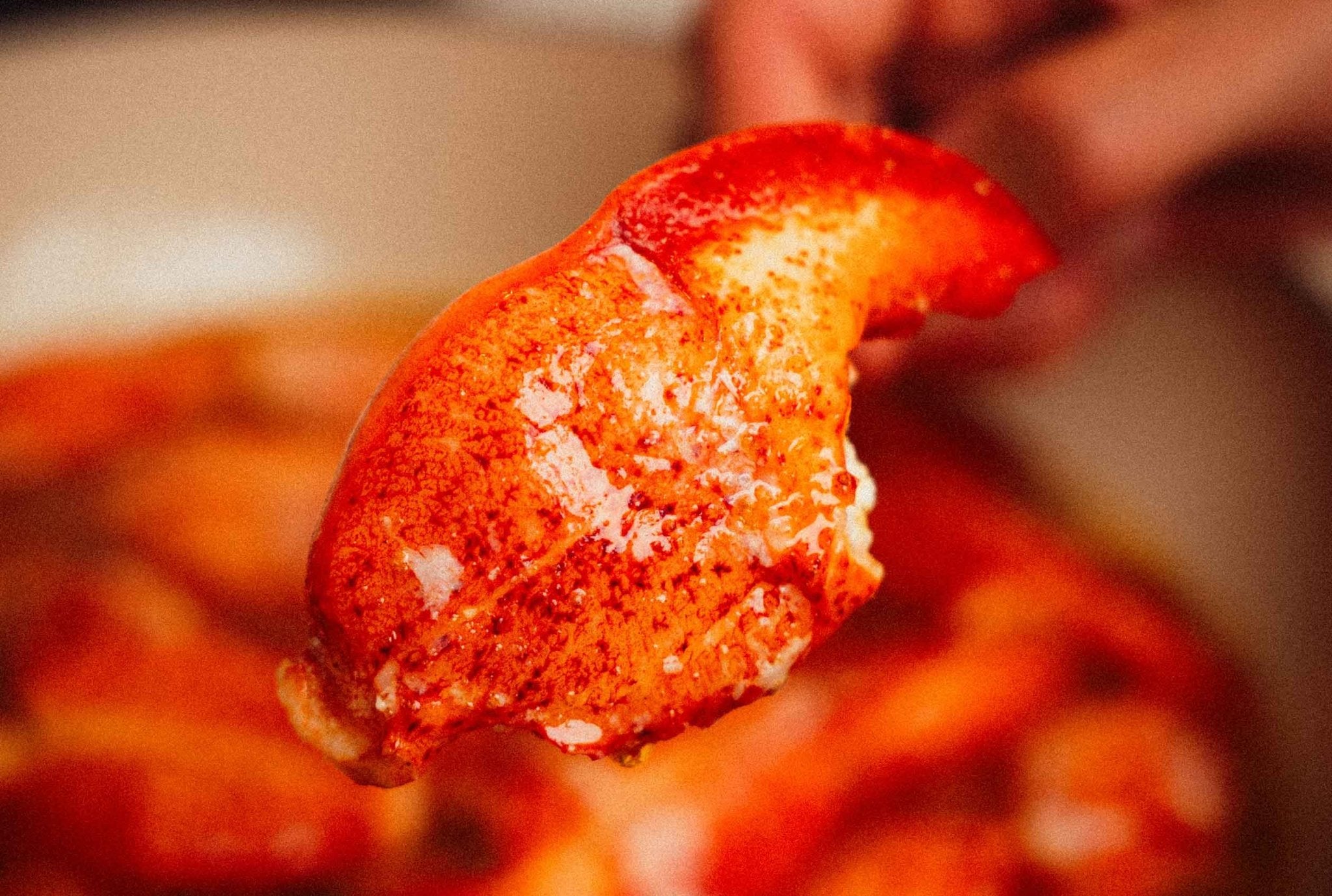 Lobster Claw Meat - PrimeFish Seafood Co. - LUXPACK™