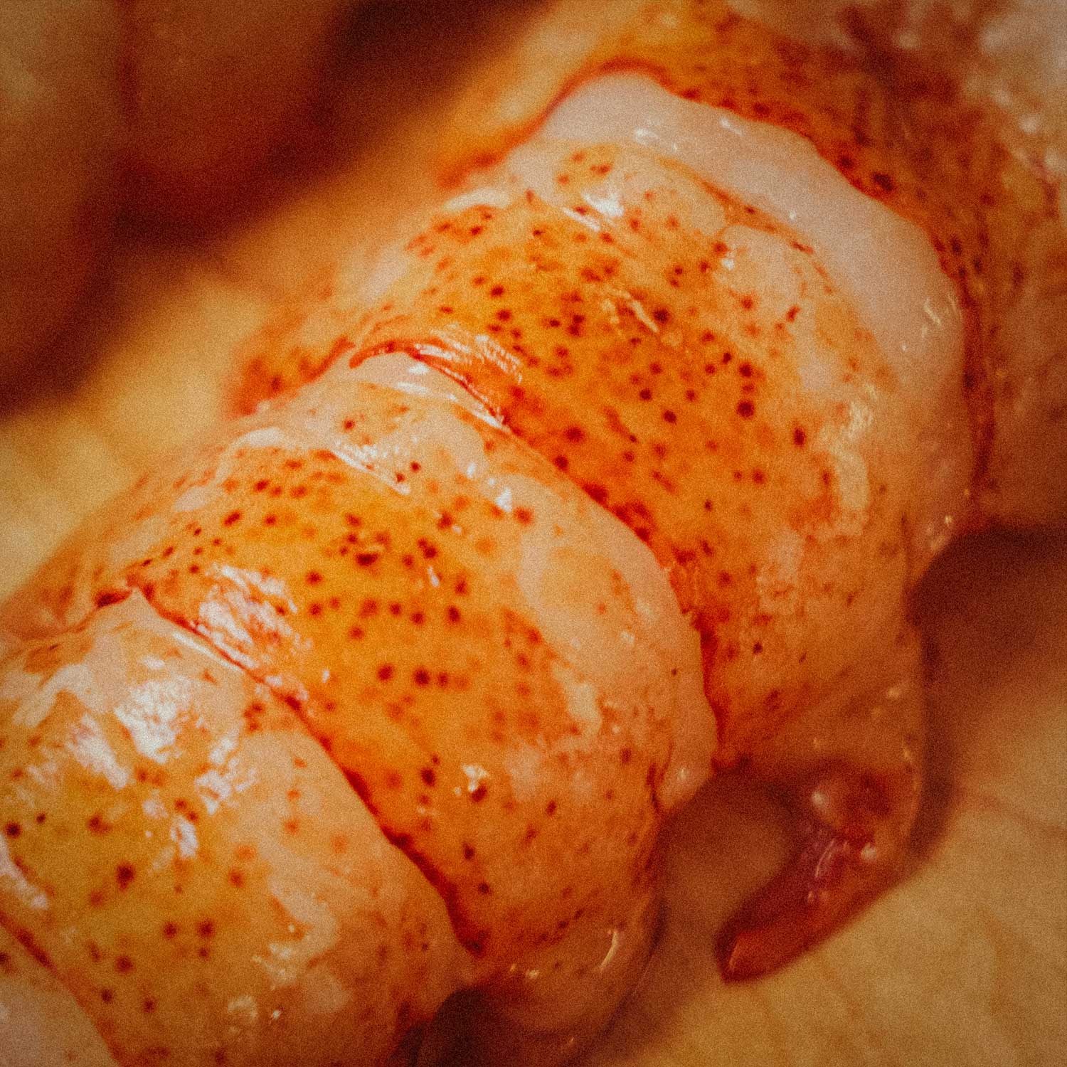 Lobster Tails (High Pressure Processed) - PrimeFish Seafood Co. - Large Boxes