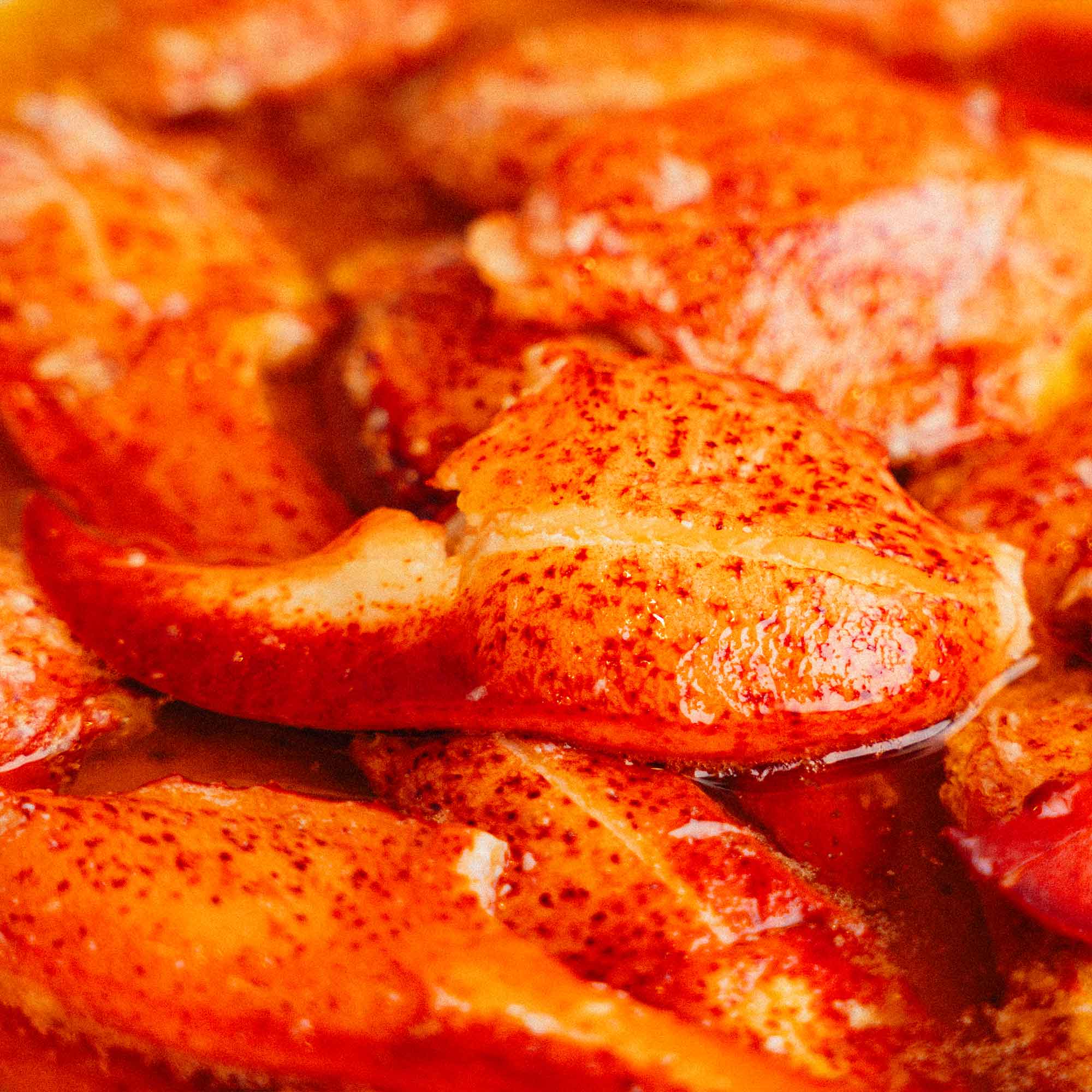 Lobster Claw Meat (16oz)