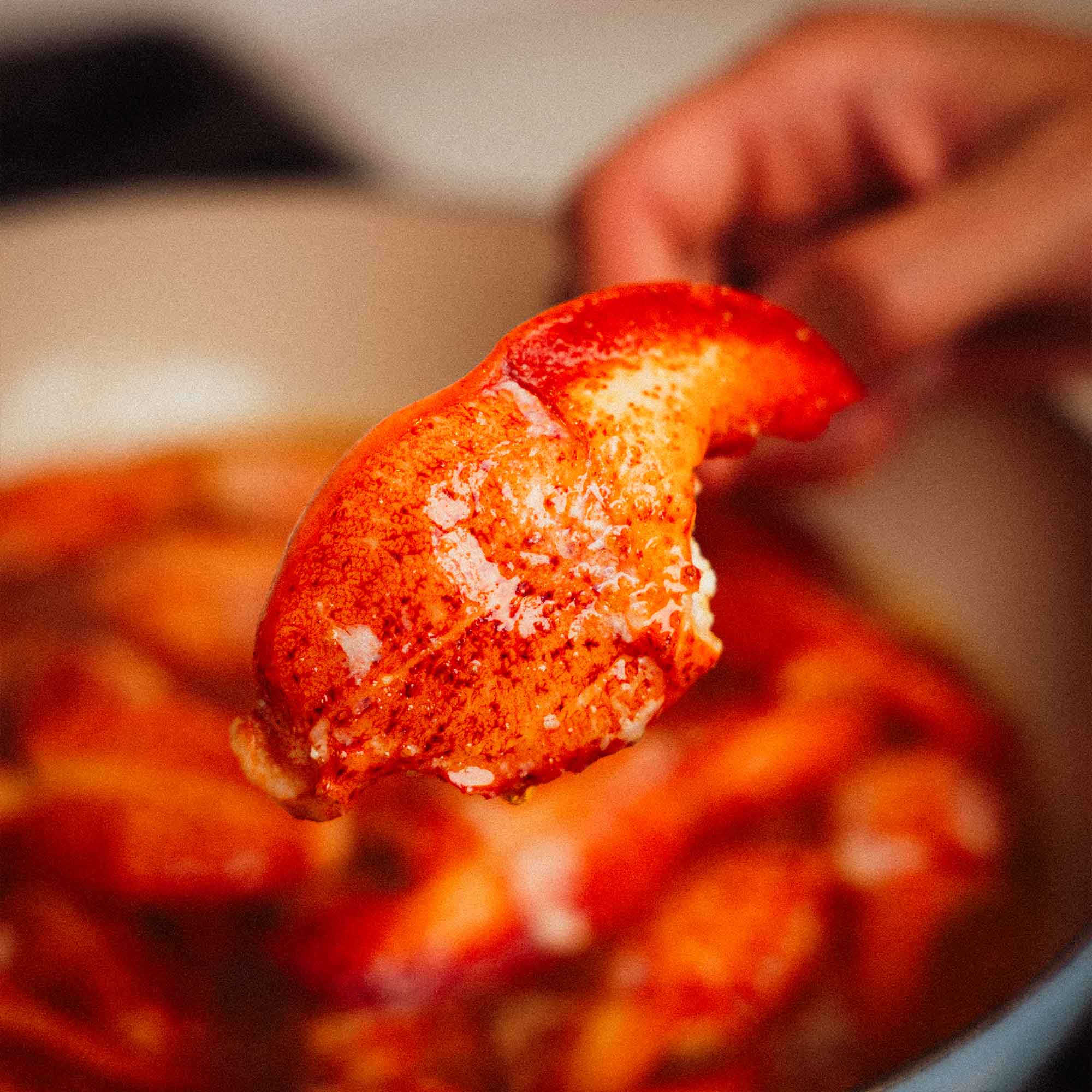 Lobster Claw Meat (16oz)