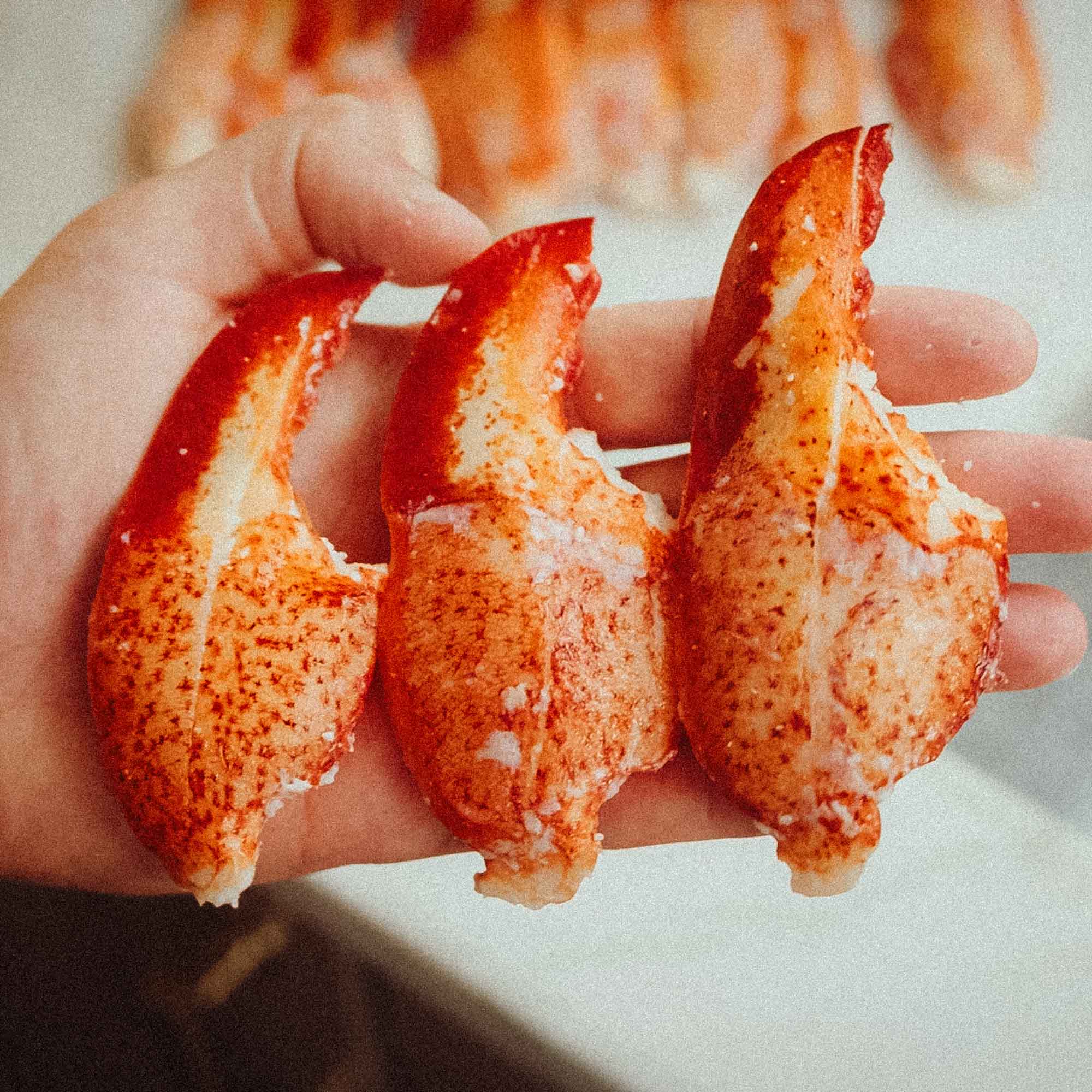 Lobster Claw Meat (16oz)
