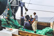 Atlantic Sea Scallops - PrimeFish Seafood Co. - Large Boxes