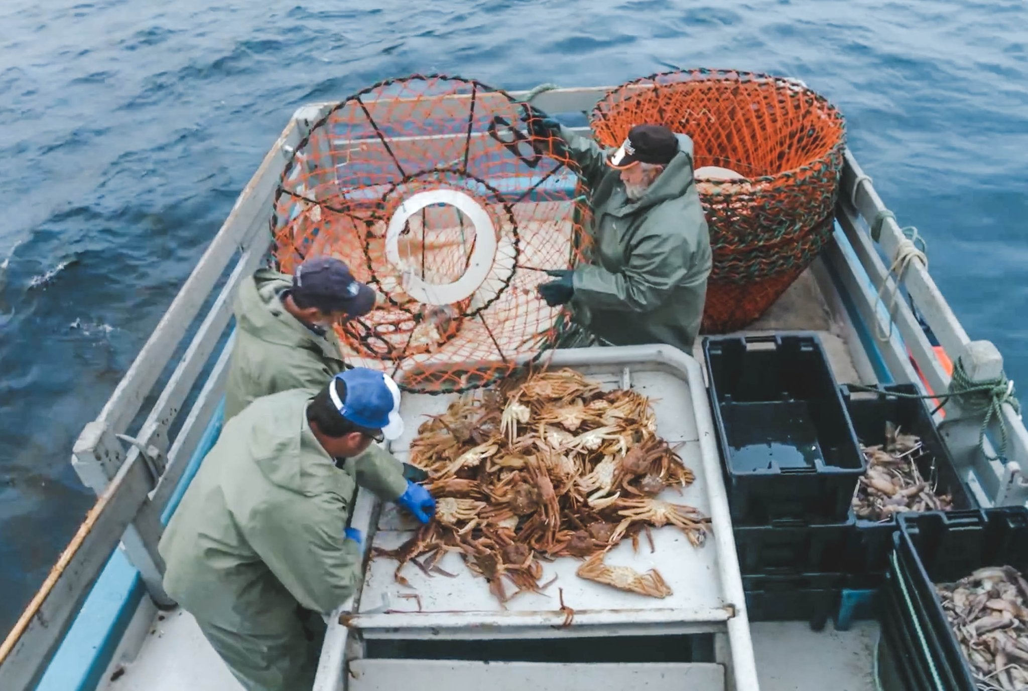 Snow Crab Leg Meat - PrimeFish Seafood Co. - Large Boxes