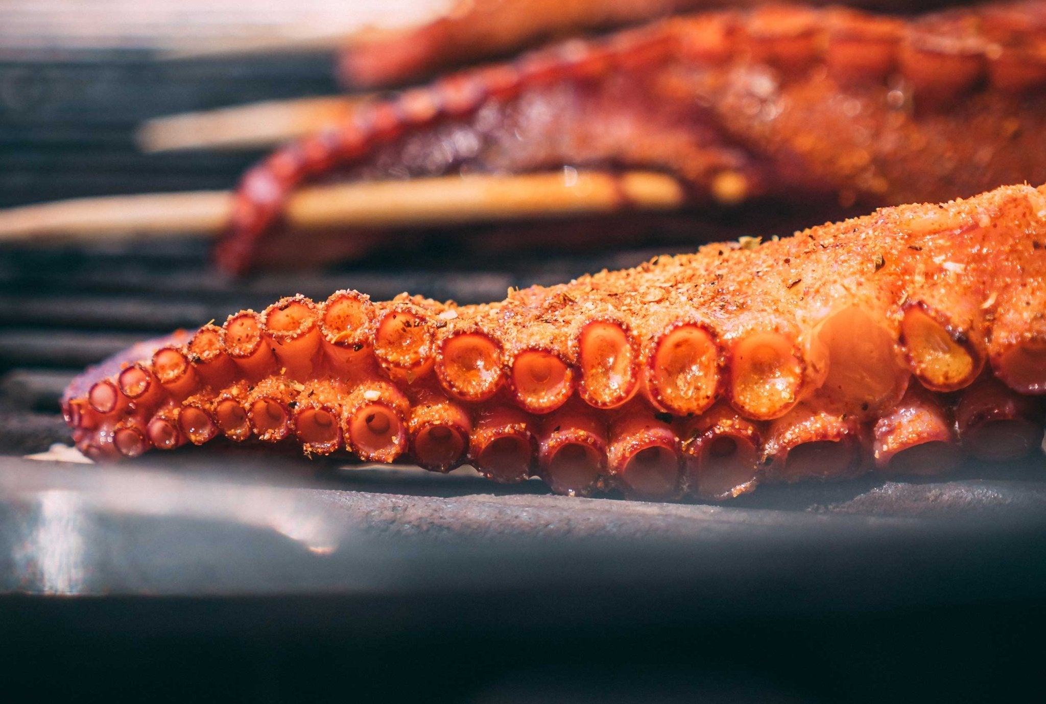 Spanish Octopus (2-3 Legs, 10oz) - PrimeFish Seafood Co. - Small Pack